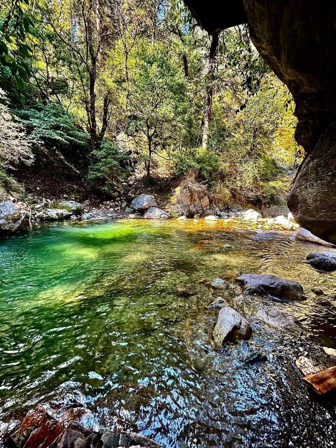 Letting Go & Return Journey